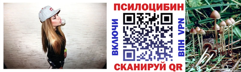 дарнет шоп Феодосия Галлюциногенные грибы мицелий